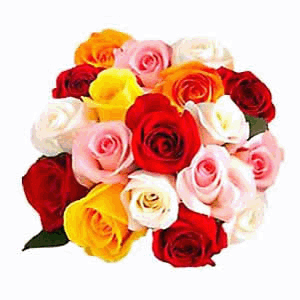 send flowers online in hubli